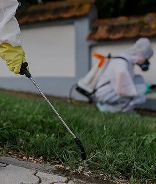 Comprehensive Snake Control Services: Protect Your Home, Family, and Pets